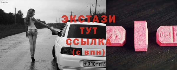 шишки Арсеньев