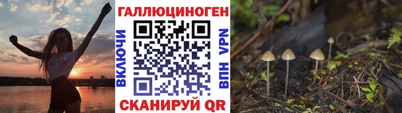 Галлюциногенные грибы прущие грибы  закладки  hydra как войти  Чистополь 